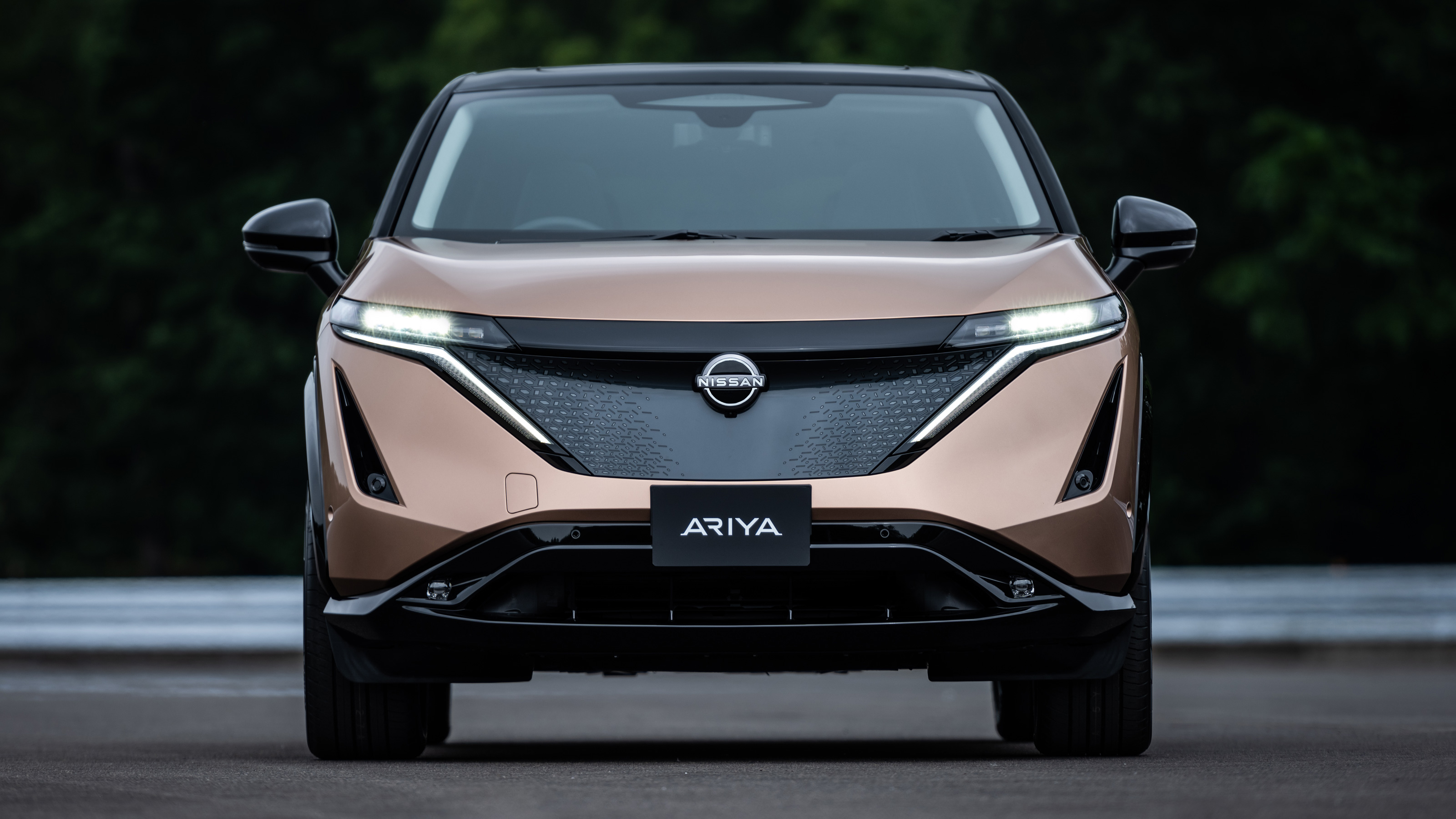 Nissan Ariya - front