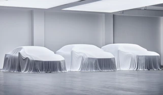 Polestars under cover