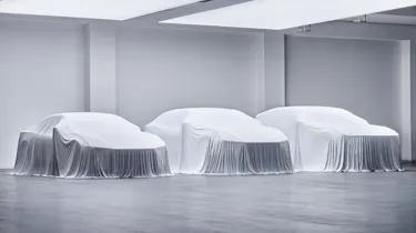 Polestars under cover