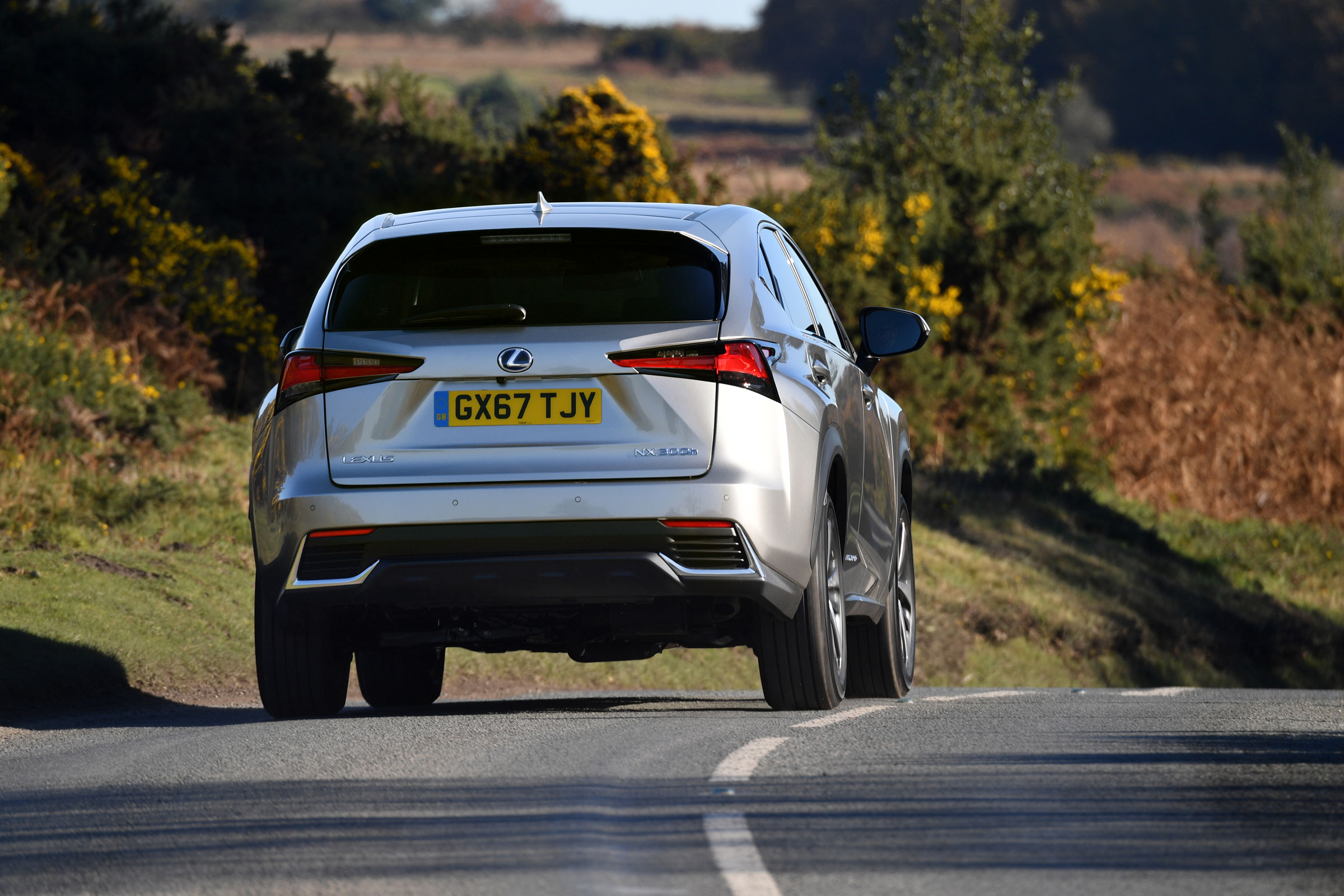 Lexus NX 300h driving - rear