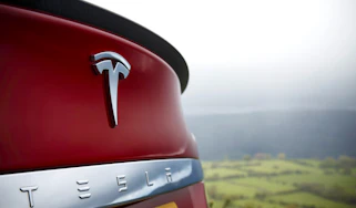 Tesla badge