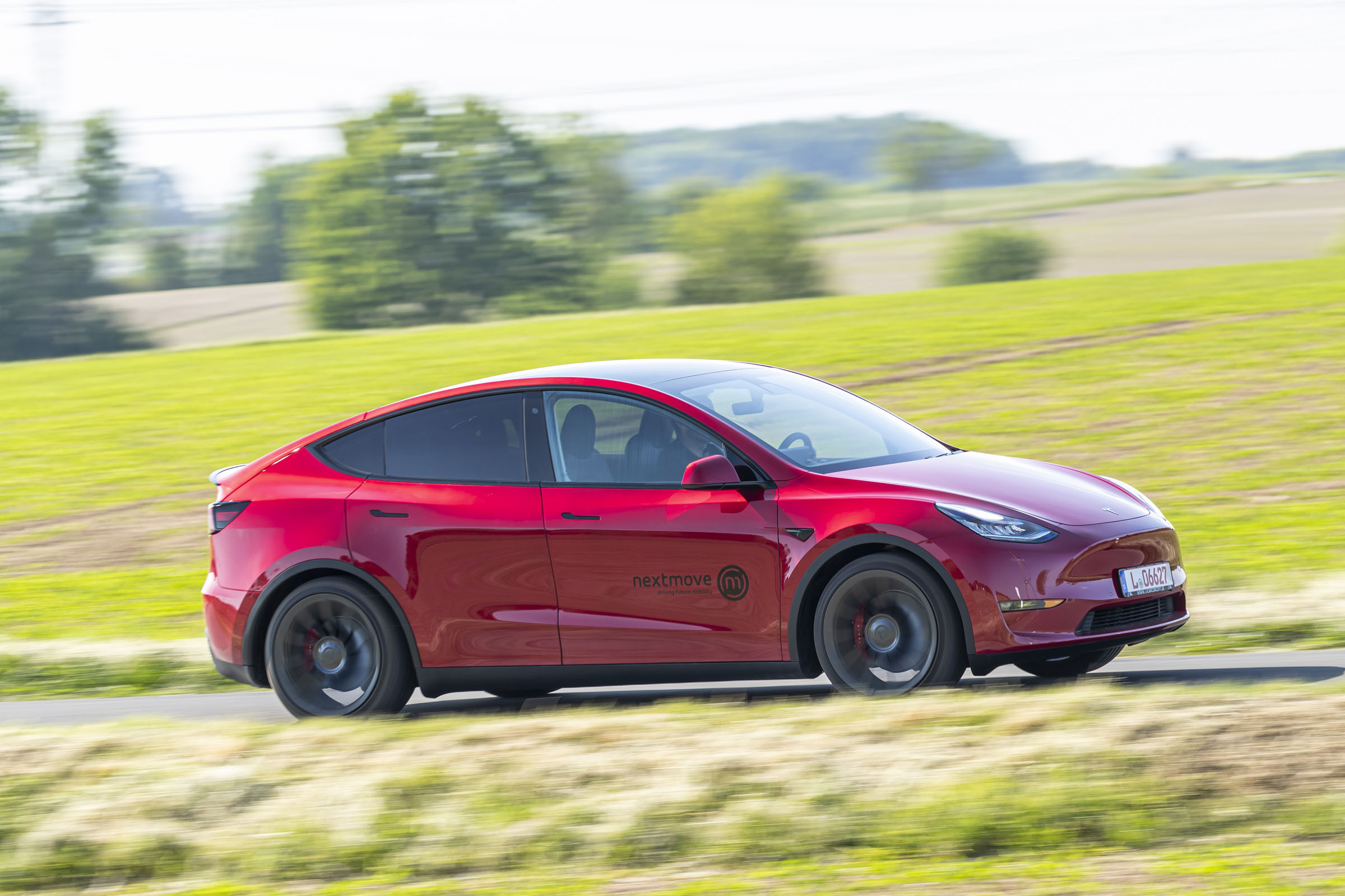 model y