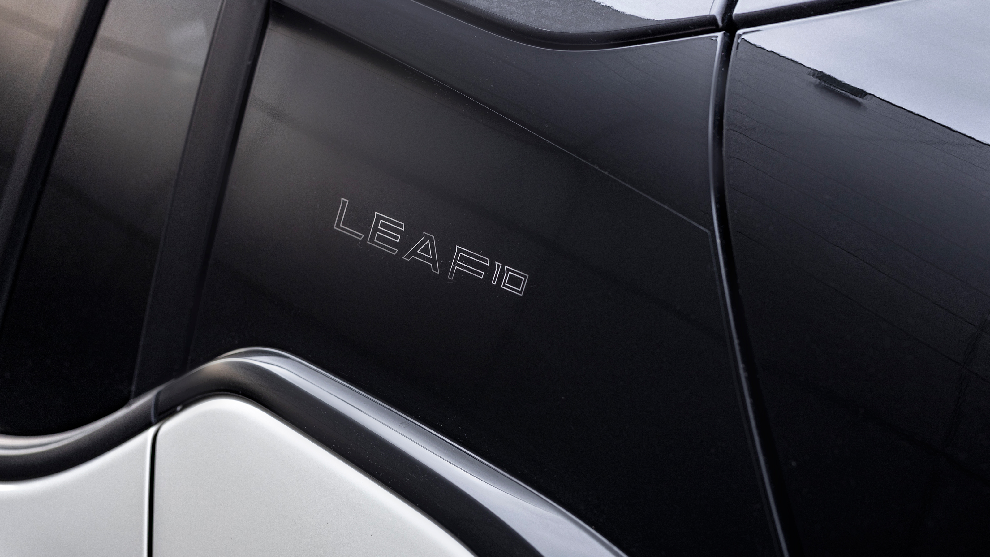 Nissan Leaf LEAF10
