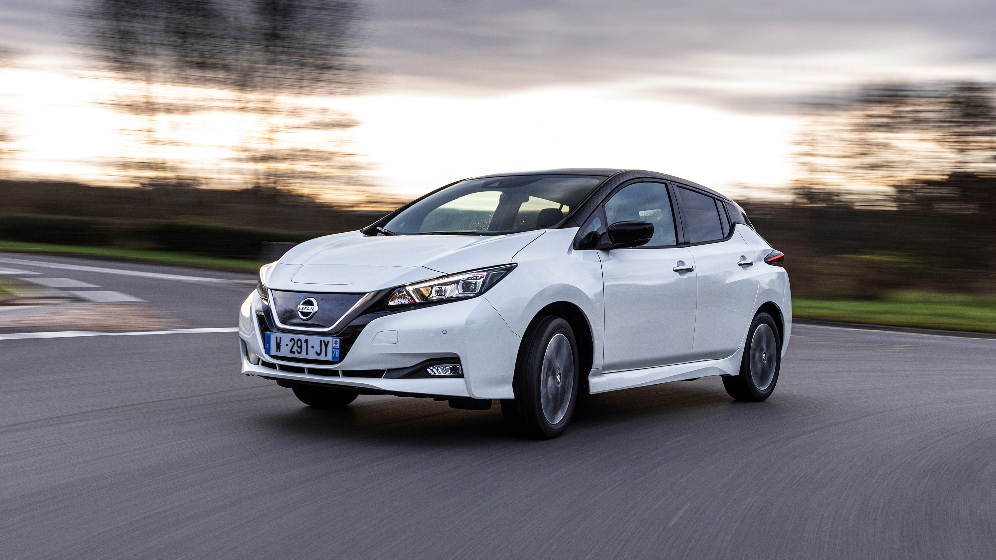 Nissan Leaf LEAF10