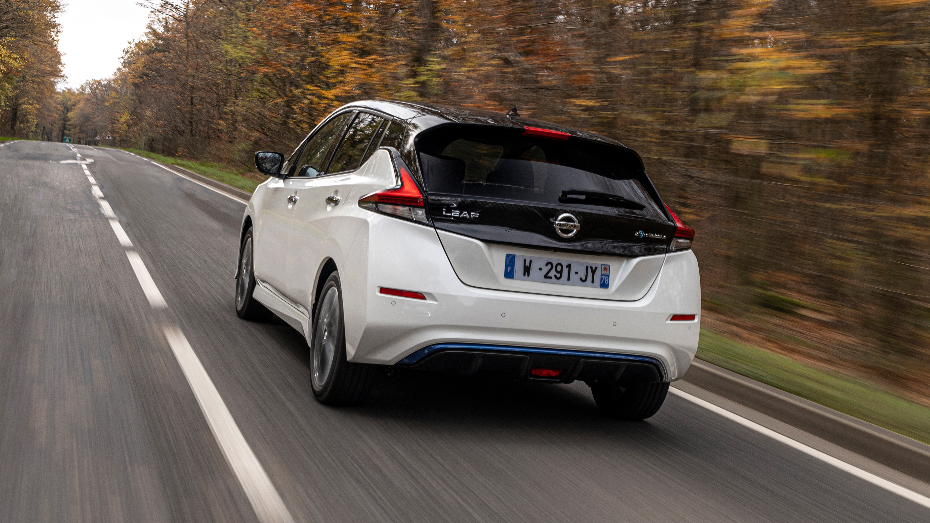 Nissan Leaf LEAF10