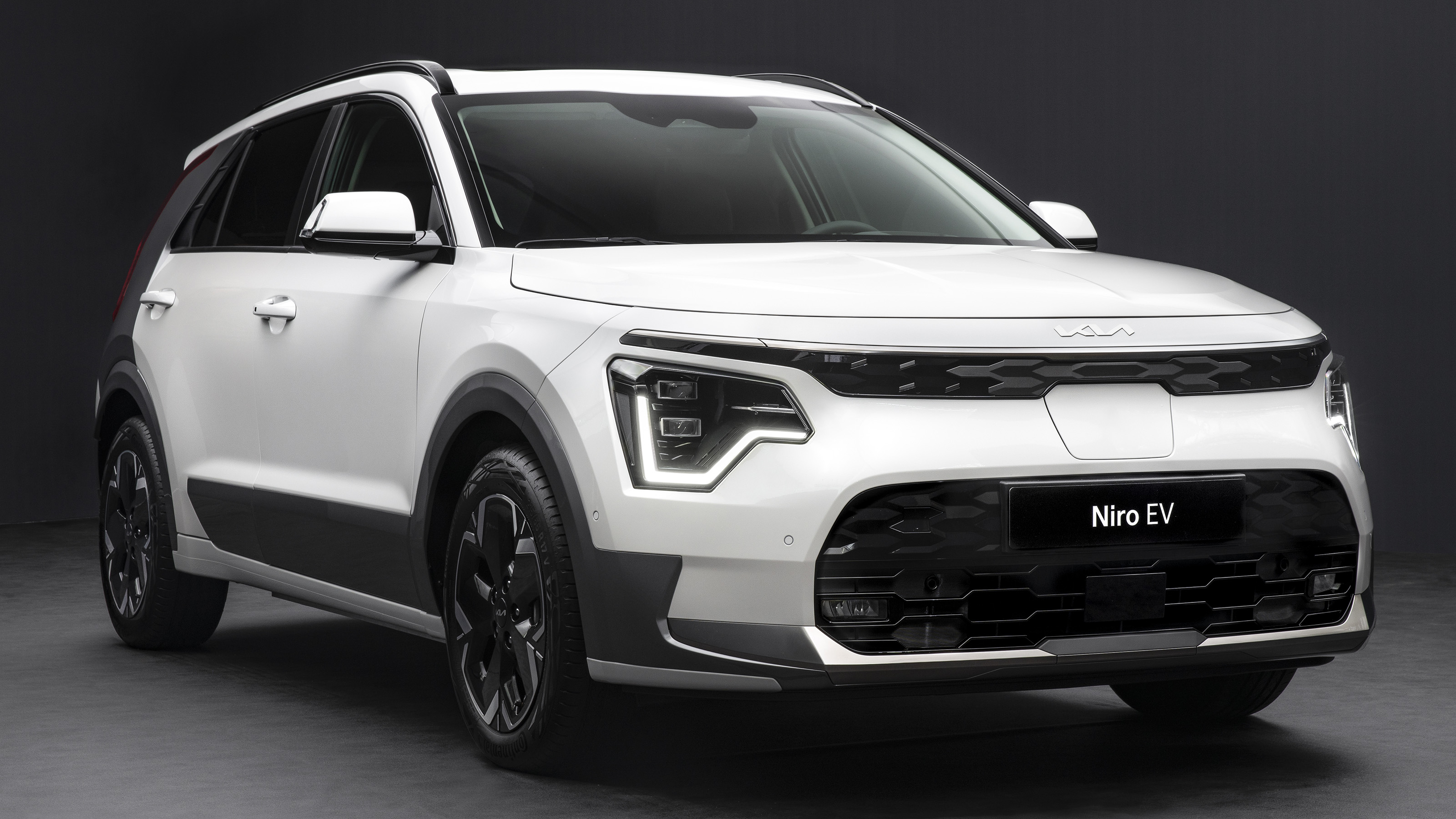 Kia Niro EV