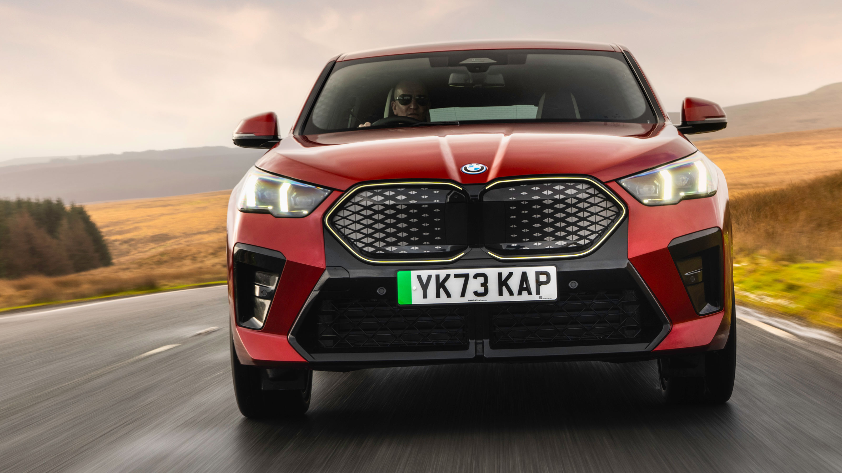 BMW iX2 - grille