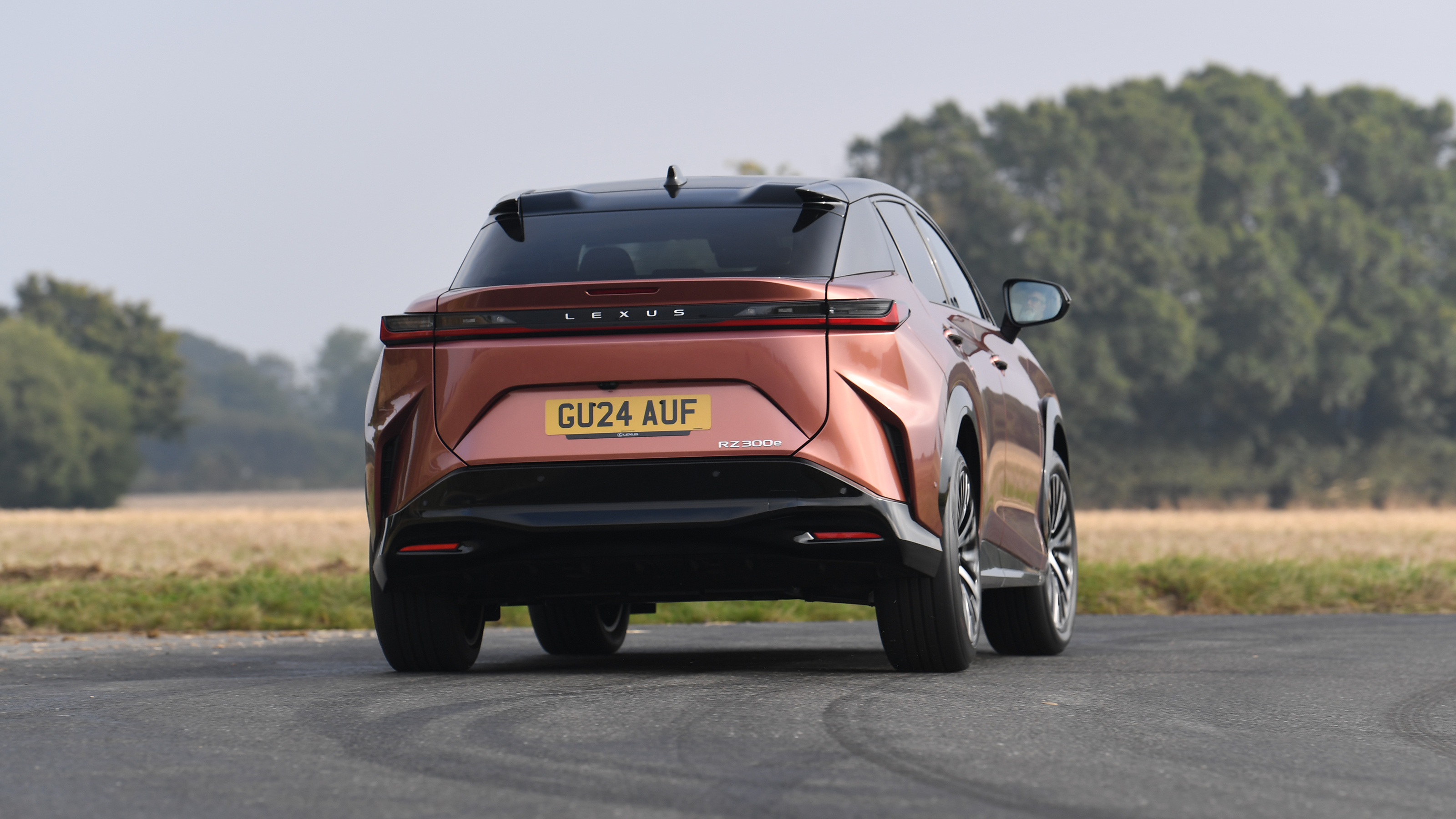 Lexus RZ 300e - rear cornering